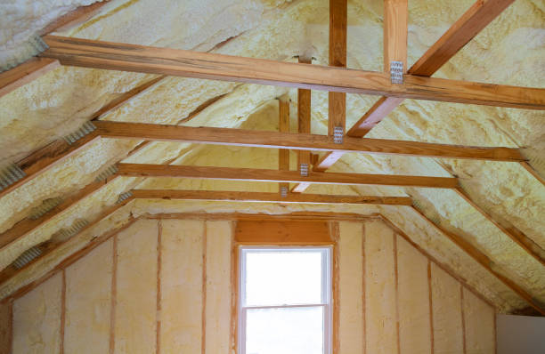 Best Cellulose Insulation  in Monroe, MI