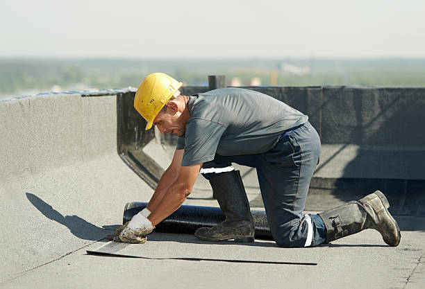 Best Local Insulation Services  in Monroe, MI
