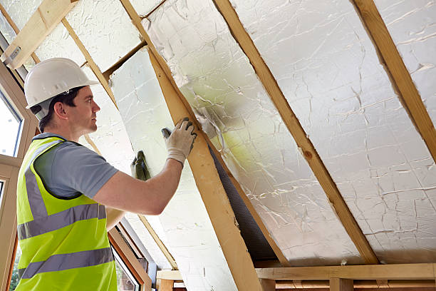 Best Affordable Insulation Services  in Monroe, MI